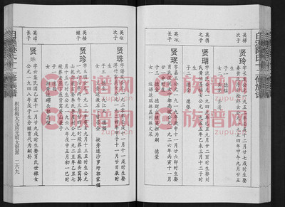 白溪陈氏宗谱 不分卷第38本
